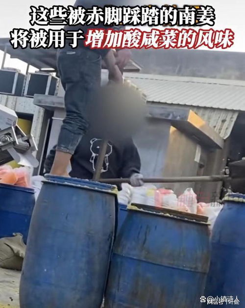 腳踩腌菜背后 315曝光的食品安全隱憂與腌制行業(yè)監(jiān)管之困