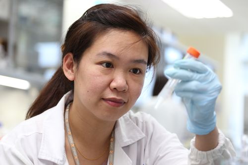 醣重組均相化抗體平臺(tái)技術(shù)及其創(chuàng)新產(chǎn)品cho-h01 醣重組均相化抗體新藥