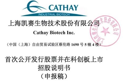 凱賽生物IPO:存在安全生產風險,曾深陷專利糾紛,票據流轉、轉貸等違規不斷