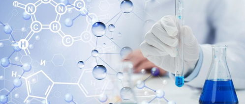 PE發(fā)泡塑料配方分析與檢測標準及生物基材料技術研發(fā)