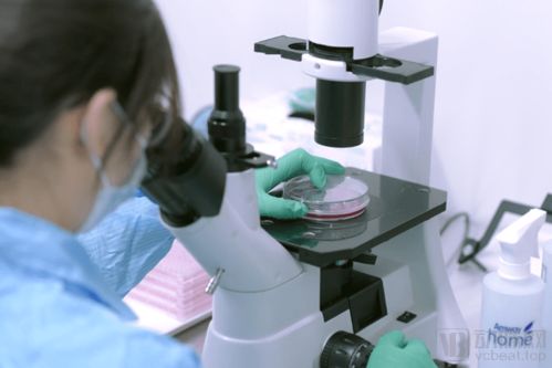 打造產(chǎn)業(yè)鏈 惠邦生物以獨創(chuàng)能力加碼IVD創(chuàng)新產(chǎn)品研發(fā)，持續(xù)發(fā)力原料市場與生物基材料技術研發(fā)