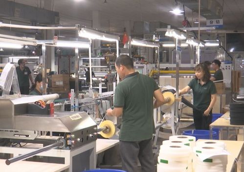 創(chuàng)新驅(qū)動(dòng)，綠色先行——記廣東盈通新材料研發(fā)中心榮膺“全國工人先鋒號(hào)”稱號(hào)